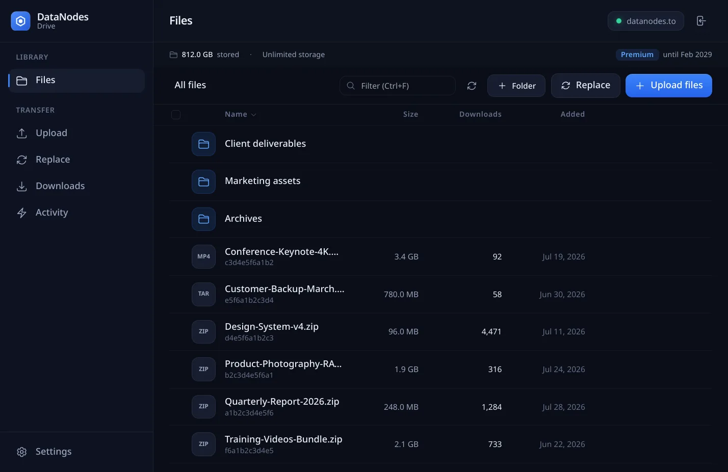 The Files view in DataNodes Drive, listing folders and files with sizes, download counts and dates